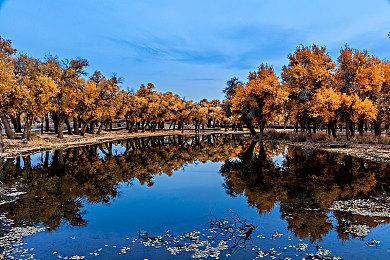 《第一后裔》终极弗雷娜皮肤宣传视频 肉感十足！